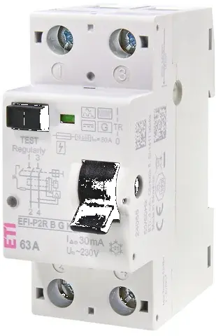  EFI-P2R B G/KV 40/0.03 002061002