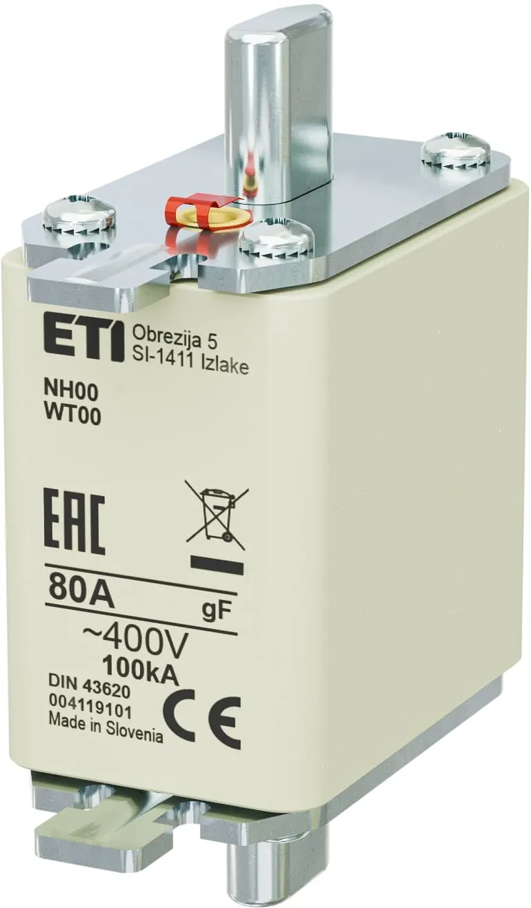  NH00 gF 80A/400V 004119101
