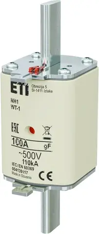  NH1/WT-1 gF 100A/500V 004139117