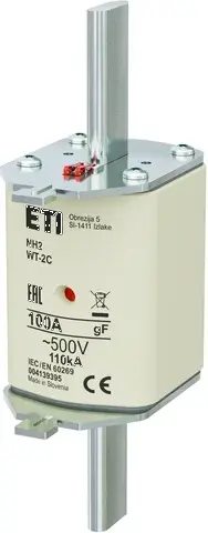  NH2/WT-2C gF 100A/500V 004139395