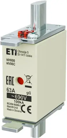  NH000 gG 63A/690V 004181312
