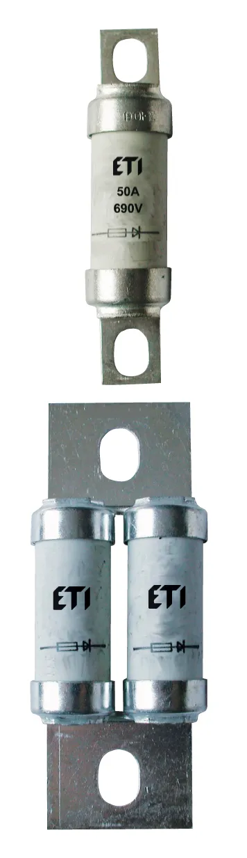  *BS17UQ/63/80A/690V 004750619