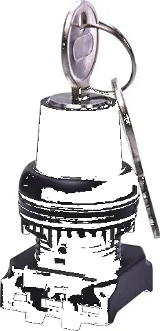  EGK3-ZXZ-C 004771380