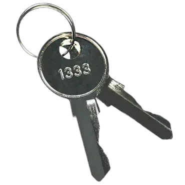 Obrázek KEY-1333