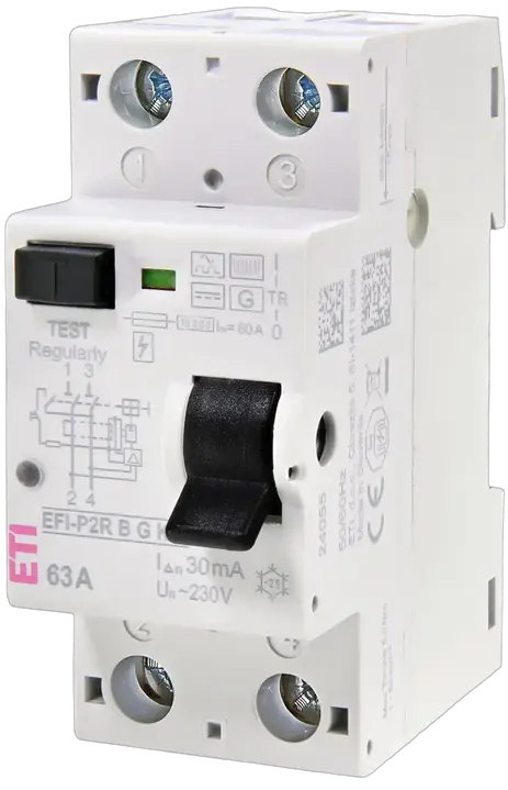 Obrázek EFI-P2R B G/KV 80/0.03