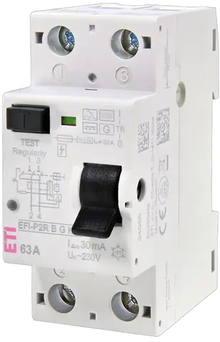 Obrázek EFI-P2R B G/KV 80/0.03
