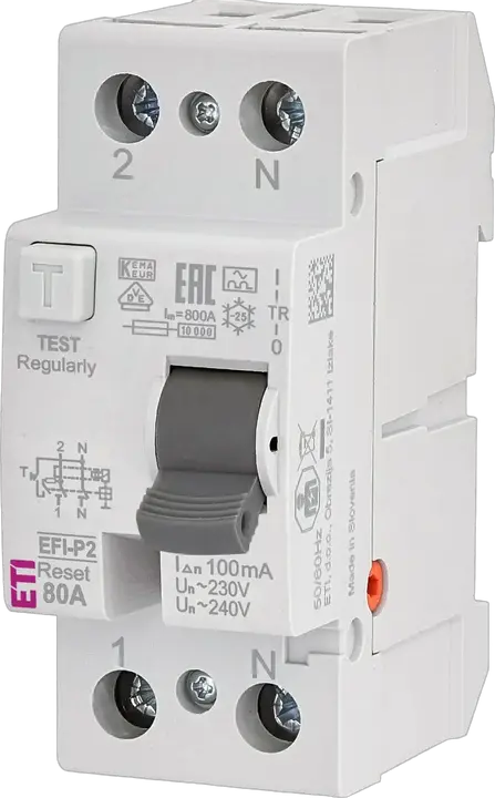 Obrázek EFI-P2R A 80/0.1