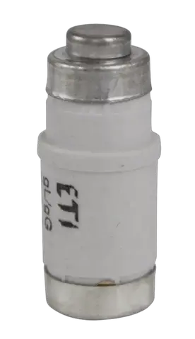D02 gG 50A/400V
