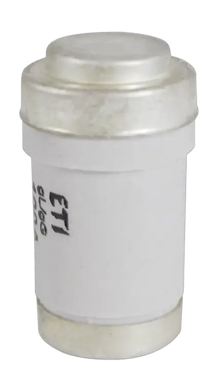 Obrázek D03 gG 100A/400V