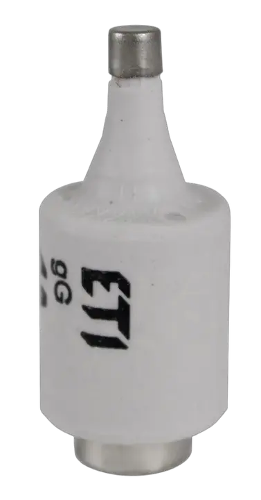 Obrázek DII DZ/gF 6A/500V