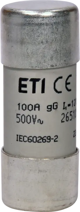Obrázek CH22x58 gG 100A/500V