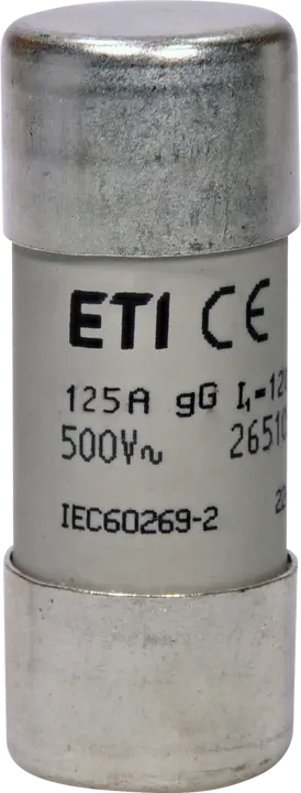 Obrázek CH22x58 gG 125A/500V