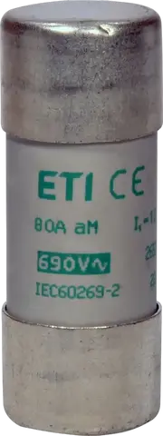 CH22x58 aM 20A/690V