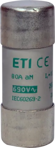 CH22x58 aM 80A/690V