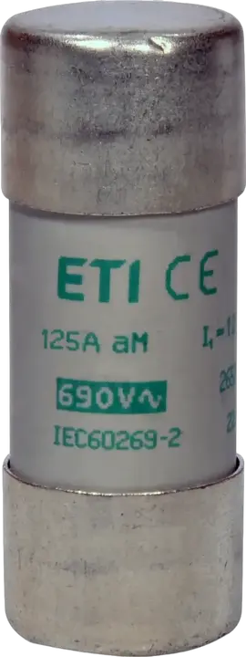 Obrázek CH22x58 aM 125A/500V