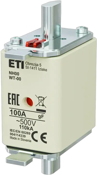 Obrázek NH00 gF 100A/500V