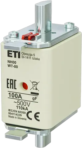 Obrázek NH00 gF 100A/500V