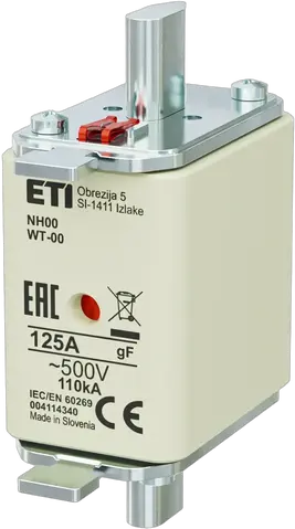 Obrázek NH00 gF 125A/500V