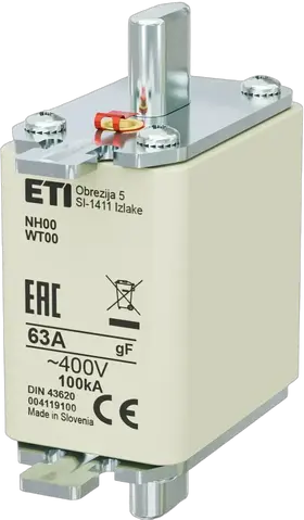 Obrázek NH00 gF 63A/400V