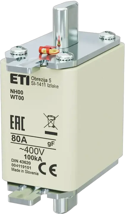 Obrázek NH00 gF 80A/400V