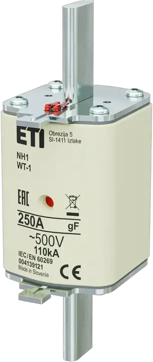 Obrázek NH1 gF 250A/500V