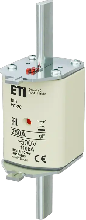 Obrázek NH2C gF 250A/500V