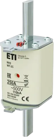NH2C gF 250A/500V