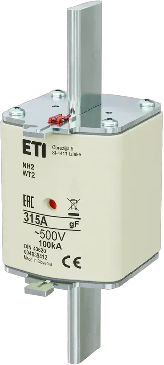 Obrázek NH2 gF 315A/500V