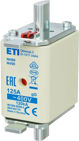 Obrázek NH00 gG 125A/400V