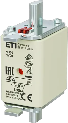 NH00 gG 40A/500V