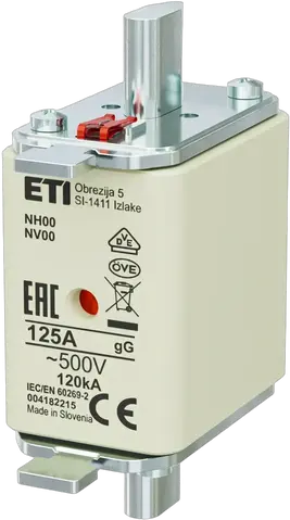 NH00 gG 125A/500V