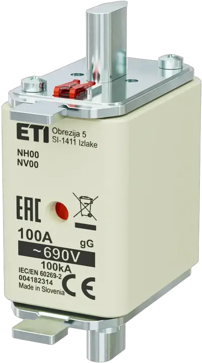Obrázek NH00 gG 100A/690V
