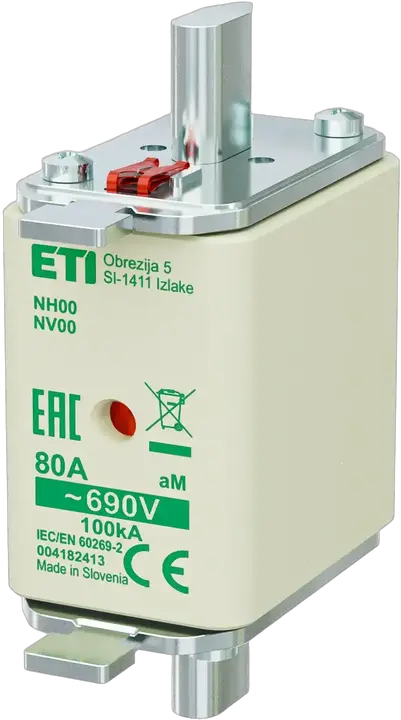 Obrázek NH00 aM 80A/690V