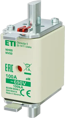 NH00 aM 100A/690V