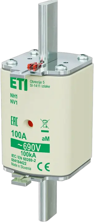 Obrázek NH1 aM 100A/690V