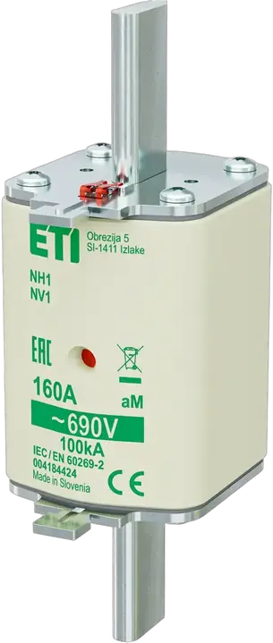 Obrázek NH1 aM 160A/690V