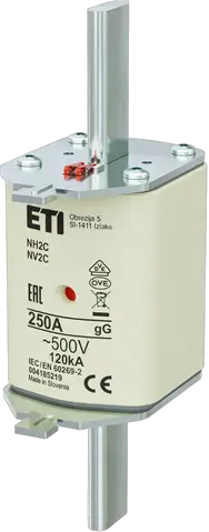 NH2C gG 250A/500V