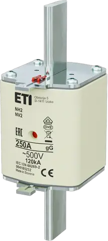 NH2 gG 250A/500V