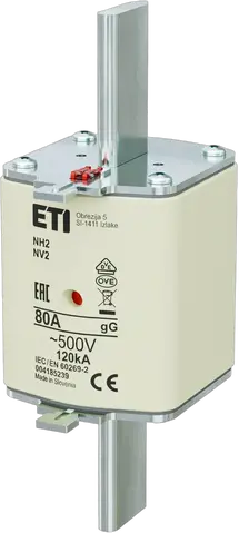 NH2 gG 80A/500V