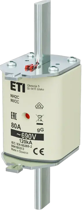 Obrázek NH2C gG 80A/690V