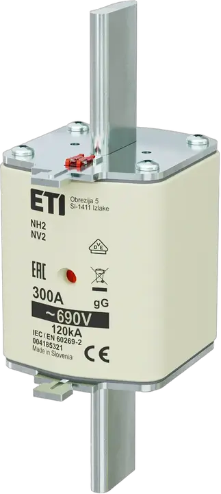 Obrázek NH2 gG 300A/690V