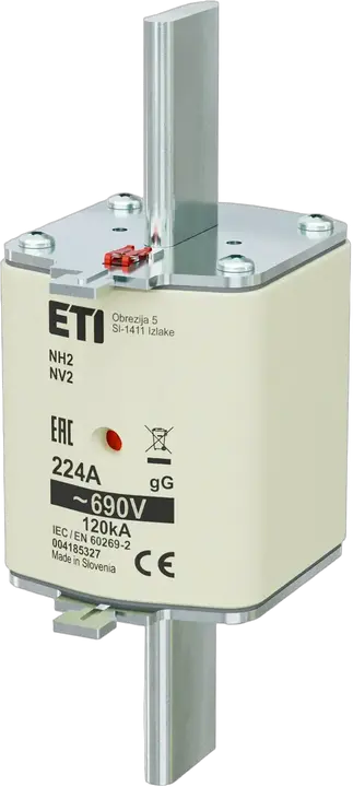 Obrázek NH2 gG 224A/690V