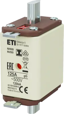 Obrázek NH00/I gG 125A/500V