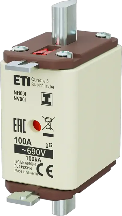 Obrázek NH00/I gG 100A/690V