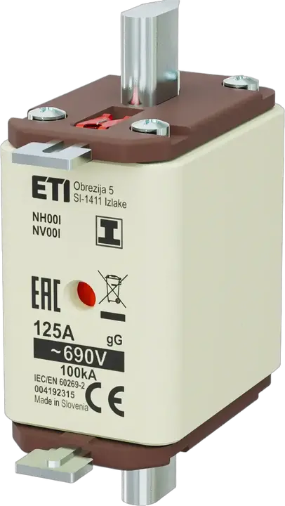 Obrázek NH00/I gG 125A/690V