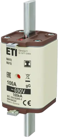 NH1/I gG 100A/690V