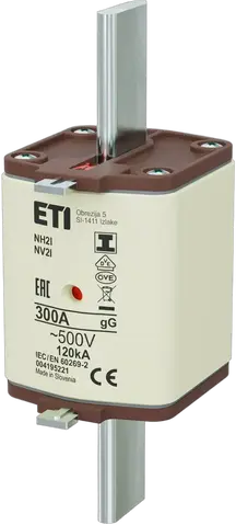 NH2/I gG 300A/500V