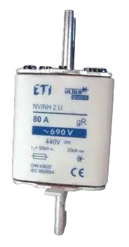 Obrázek NHS2/110 UQ gR 80A/690V