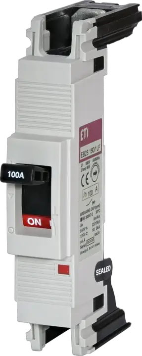 Obrázek EB2S 160/1LF 100A 1p