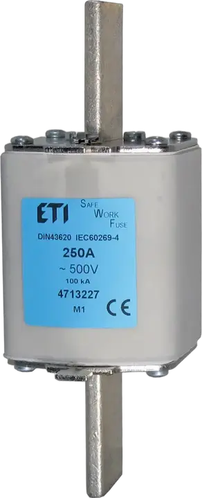 Obrázek NH000 SWF 40A/500V